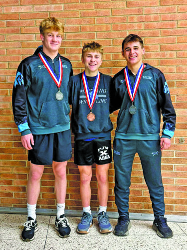 Mustangs send three to regionals after gritty District 4 showing